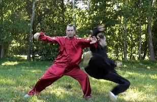 COMBAT TAI CHI - Chen Style Taiji Quan Fighting Techniques - 陈式 太极拳